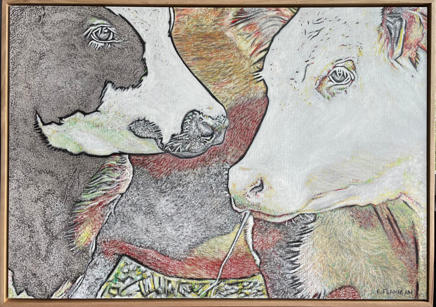 Daydreamers mixed media contemporary colour painting  of cows by Emily Flanigan