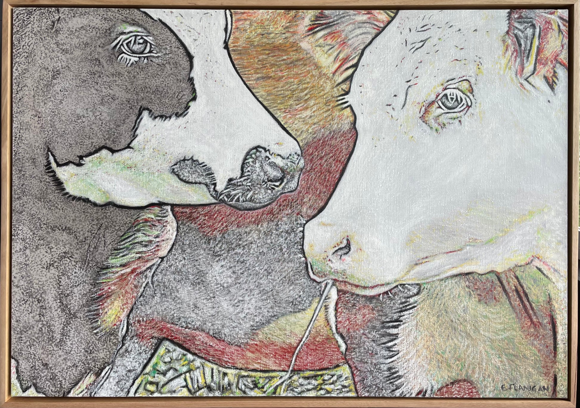 Daydreamers mixed media contemporary colour painting  of cows by Emily Flanigan